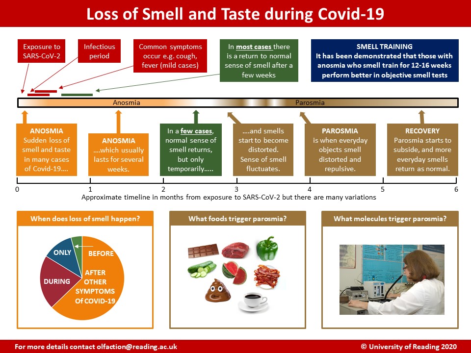 Parosmia Infographic