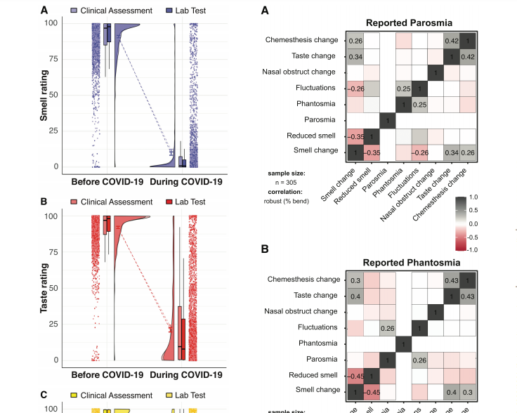 our-publications-olfaction-research