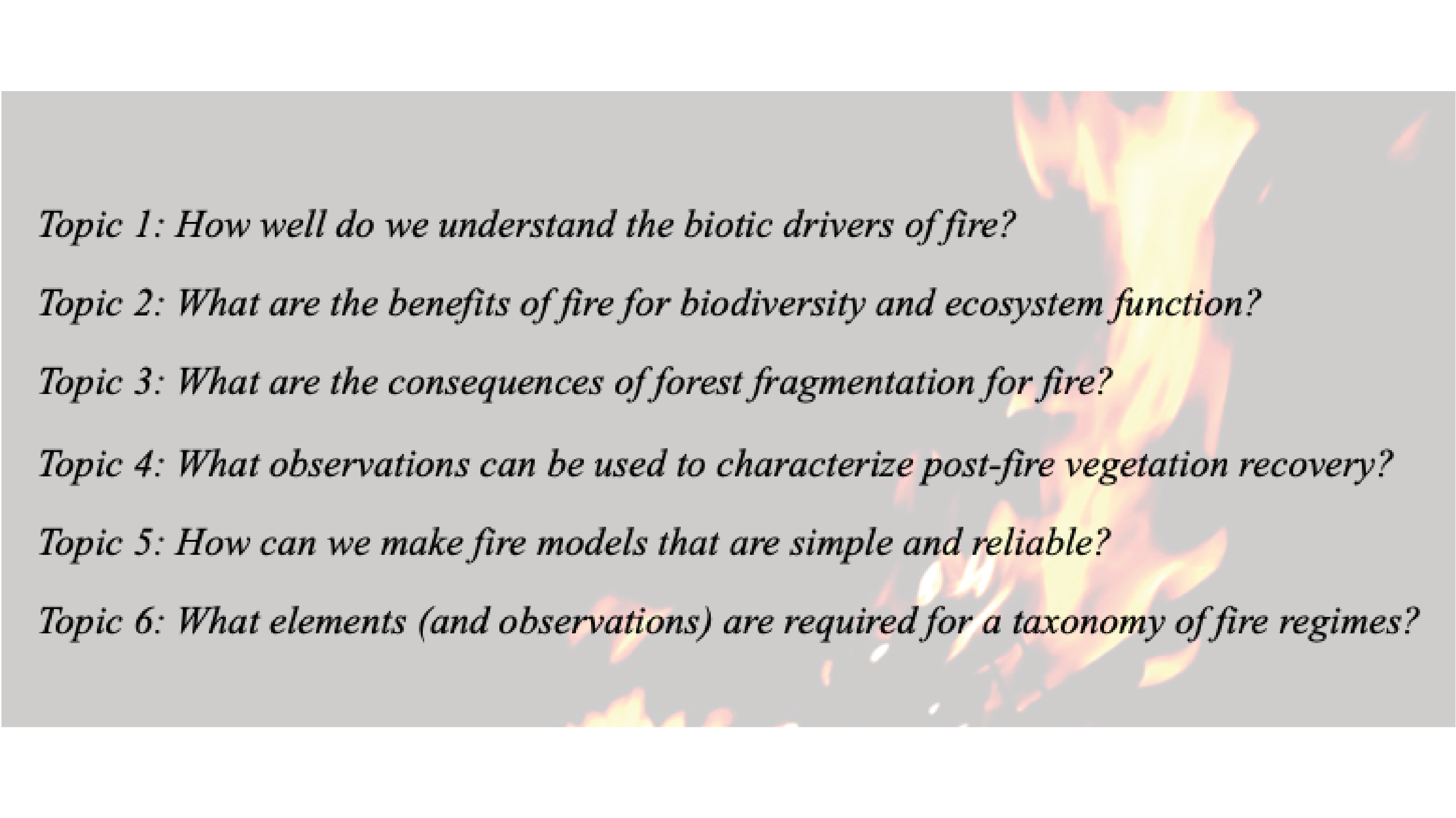 Workshop of New Directions in Fire Ecology and Fire Modelling by Yicheng Shen