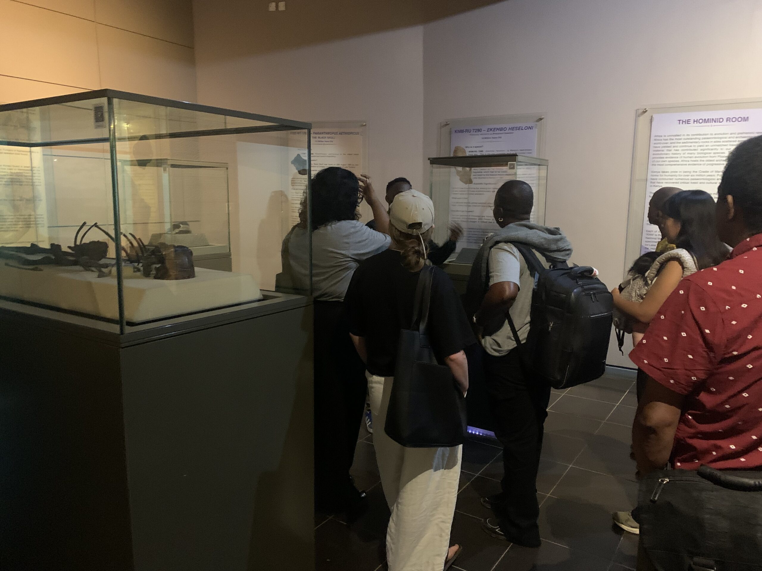 An Introduction to the African Quaternary Human–Climate Interactions Network