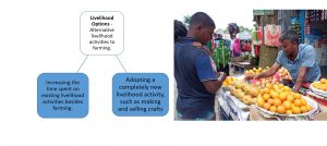 Livelihood options: alternative practices associated with off-farm livelihood activities, can be new entirely or change to something already being done.