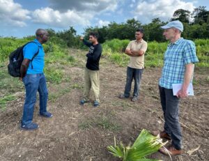 Peter Dorward (University of Reading) and colleagues from the Ministry of Agriculture talking in a field in Belize.