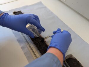 Sampling a core sequence