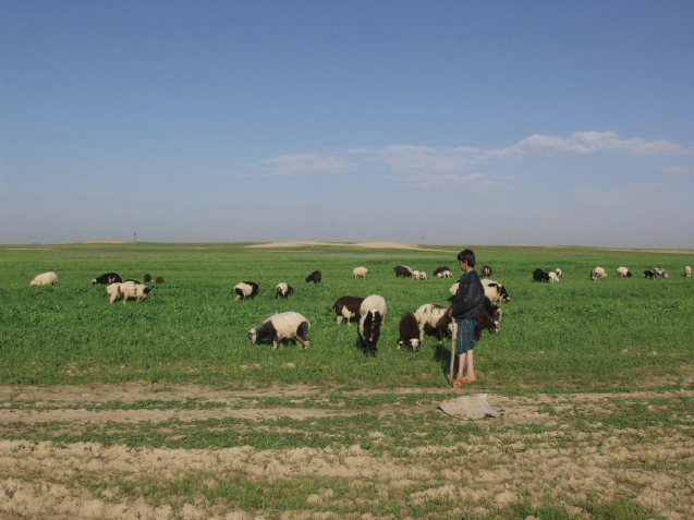 View of Khuzestan landscape: the Zohreh plain (photo credit: Abbas Moghaddam).