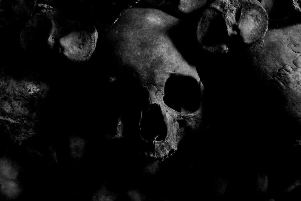 Black and white image of skull