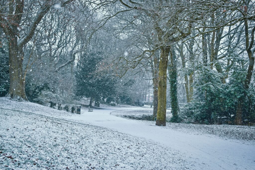 A park in Sheffield, UK. Light snow covers the pathway, trees and bench.