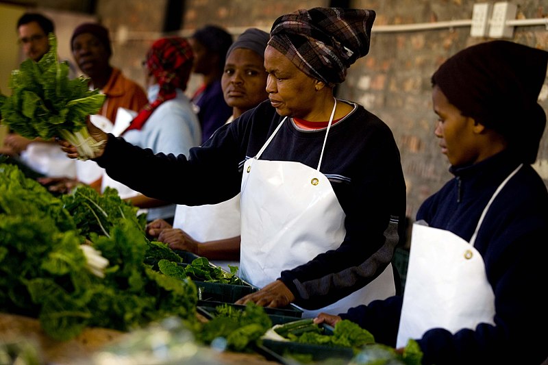 Women pack boxes of fresh vegetables in Cape Town, South Africa.