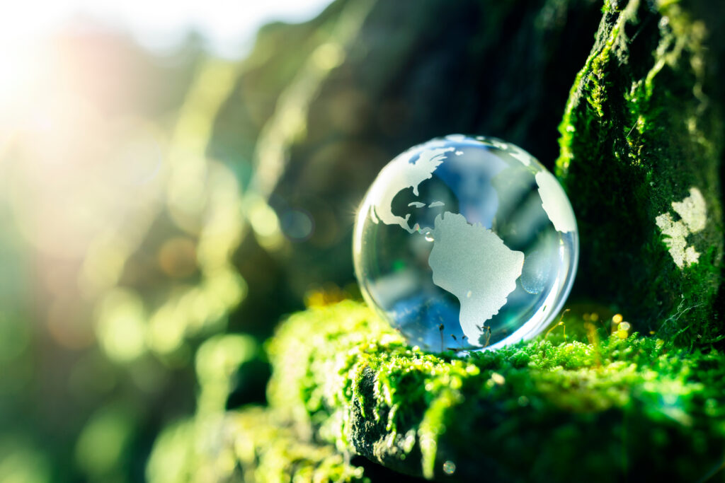 Glass globe in nature – concept for environment and conservation and reimagining a better world