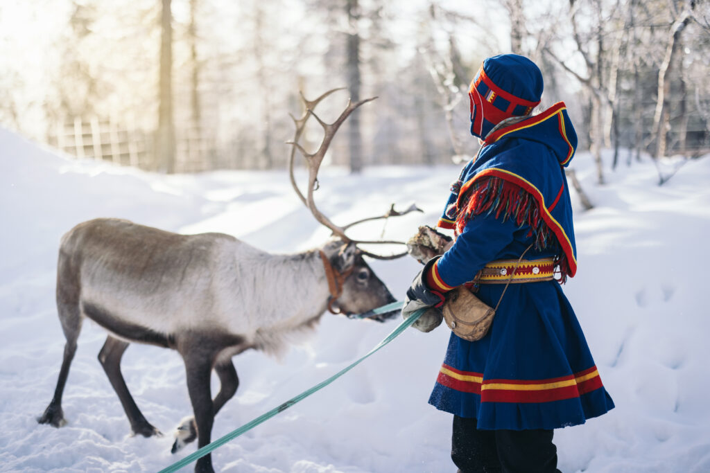 Sami person with a reindeer. The Sami person's clothes are bright blue with red and yellow details.