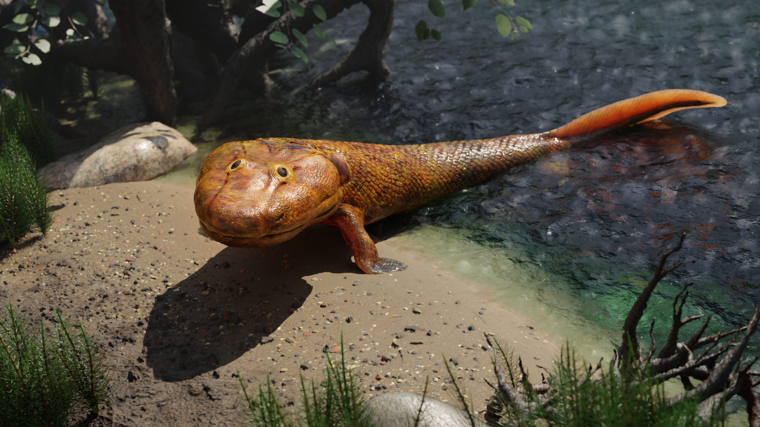 3D art rendering of the Tiktaalik, an extinct walking fish.