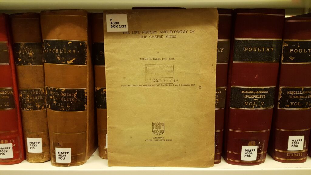 Nellie Eales's paper 'The Life History and Economy of the Cheese Mites' displayed on a book shelf. The paper is aged and browning.