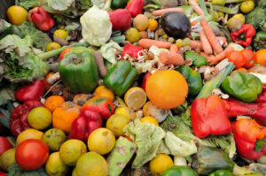 Huge pile of discarded and mouldy fruit and vegetables including red and green peppers, lemons, aubergines, oranges, carrots and cabbages.