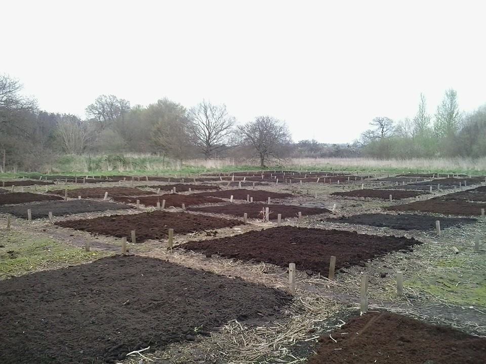 Understanding types of compost and soil carbon quality – and why this ...