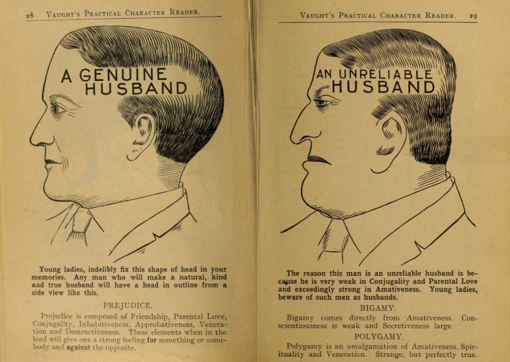 Pages from a phrenology book. On the left hand page is an illustration of man's head with 'a genuine husband' written across it. On the right hand page is an illustration of man's head with 'unreliable husband' written across it.