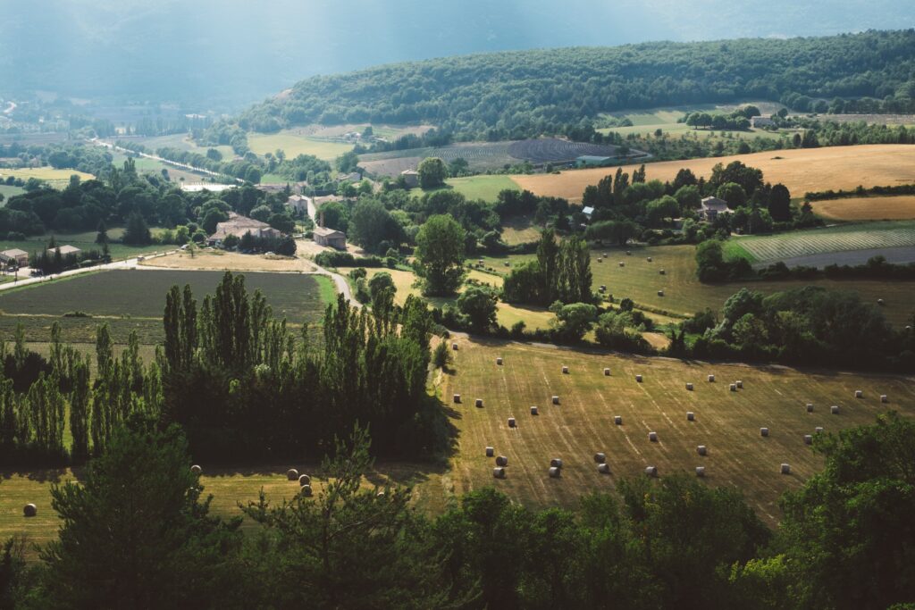 Aerial view of forest and farmland