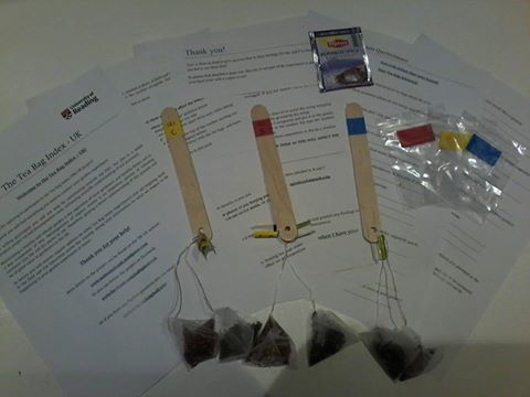 Packs for citizen scientist participants in the Tea Bag Index – instructions and tea bags for burying attached to sticks.