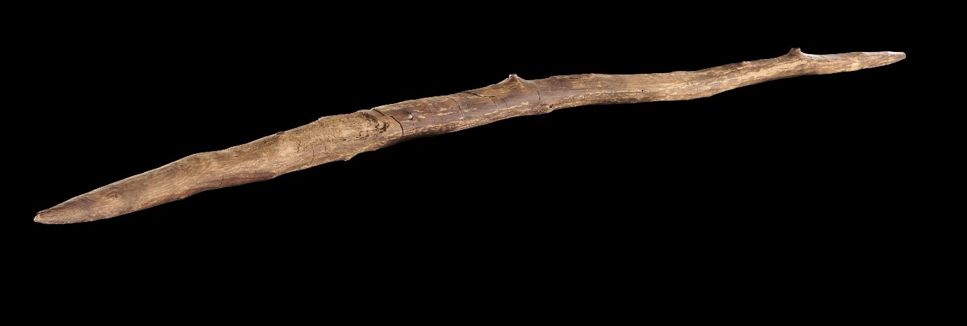 The double-pointed throwing stick