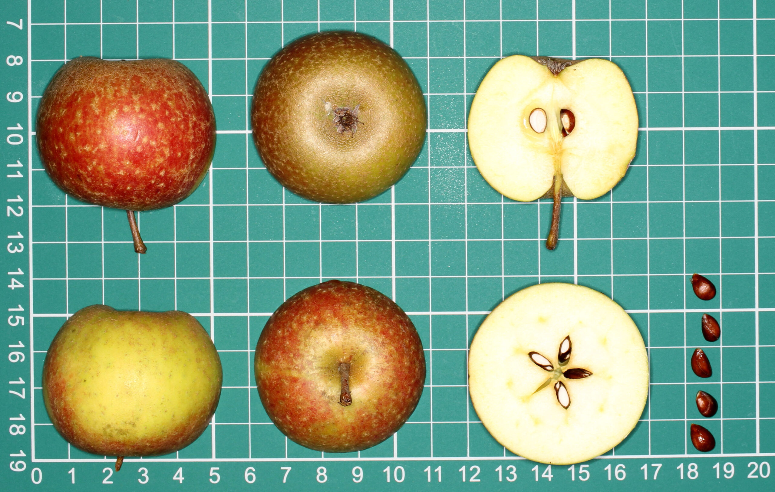 A reddy-green apple and seeds on a cutting board