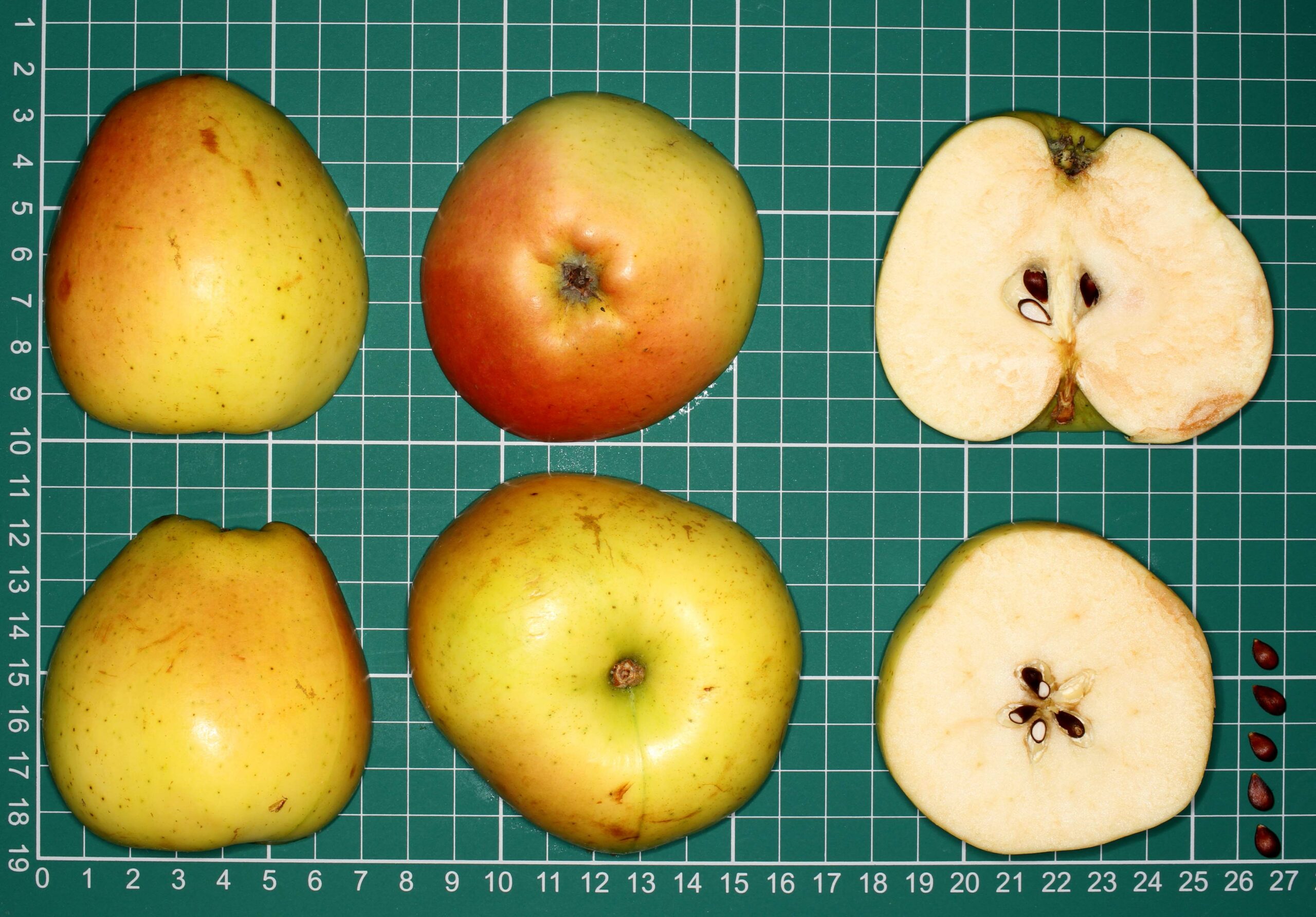 A misshapen yellow-red apple on a cutting board