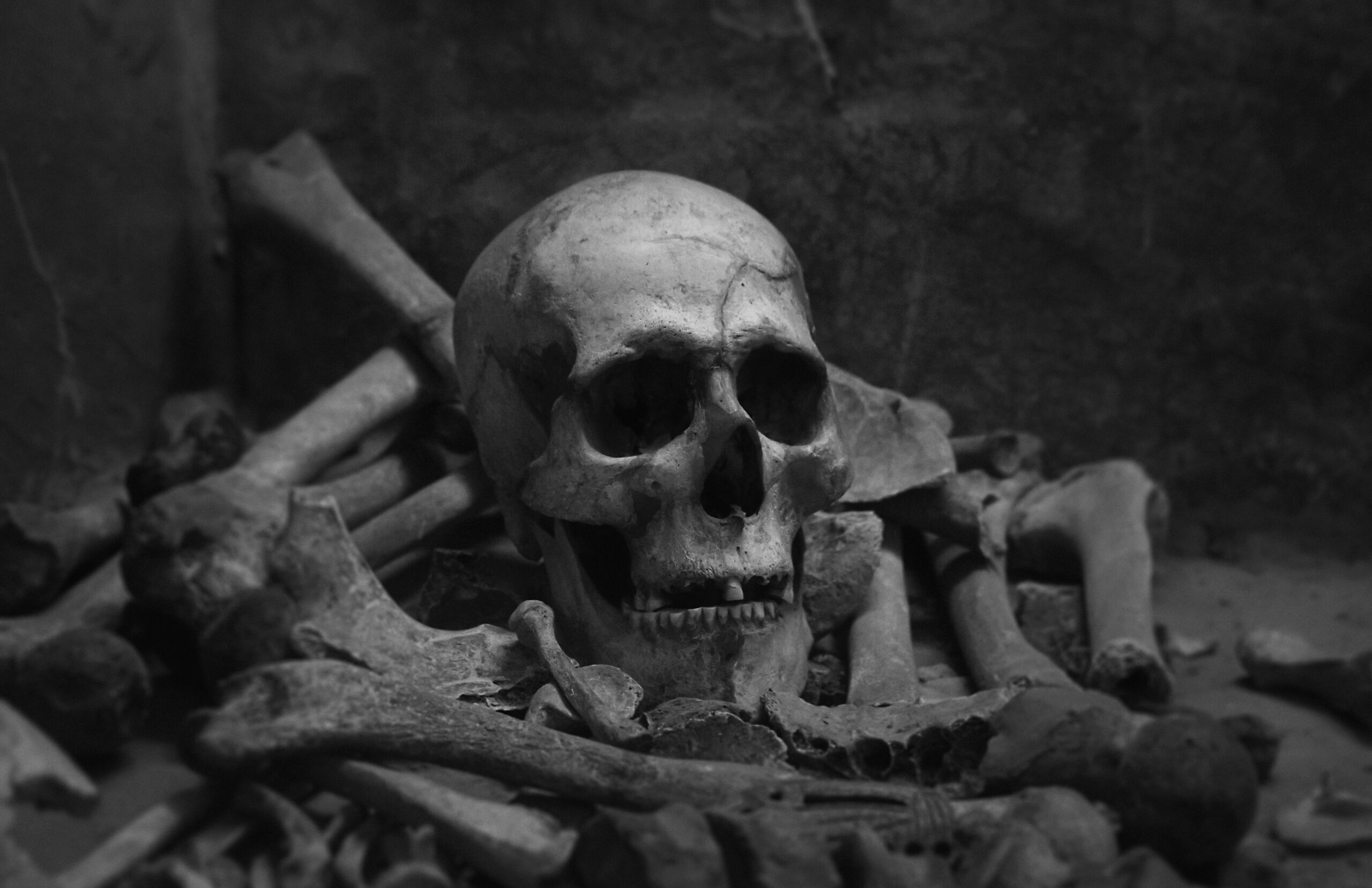 A monochrome image of a human skull atop a pile of bones