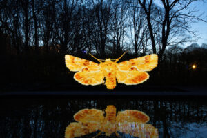 moth-installation-reflected-in-water