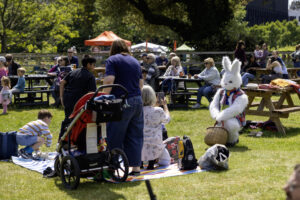 white-rabbit-with-family-at-community-festival