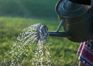 watering can against grass
