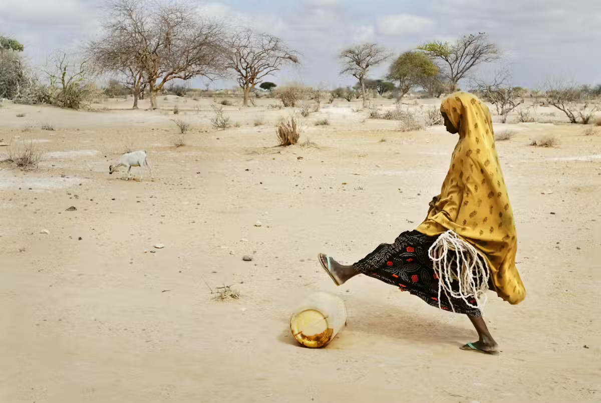 Three types of drought – and why there’s no such thing as a global water crisis