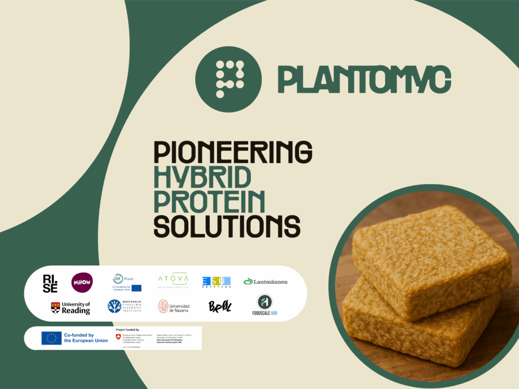 PLANTOMYC, pioneering hybrid protein solutions