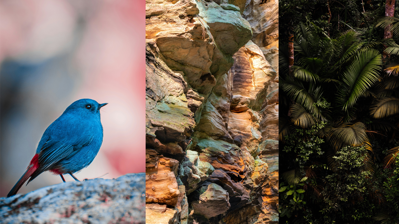 Is consciousness everywhere?