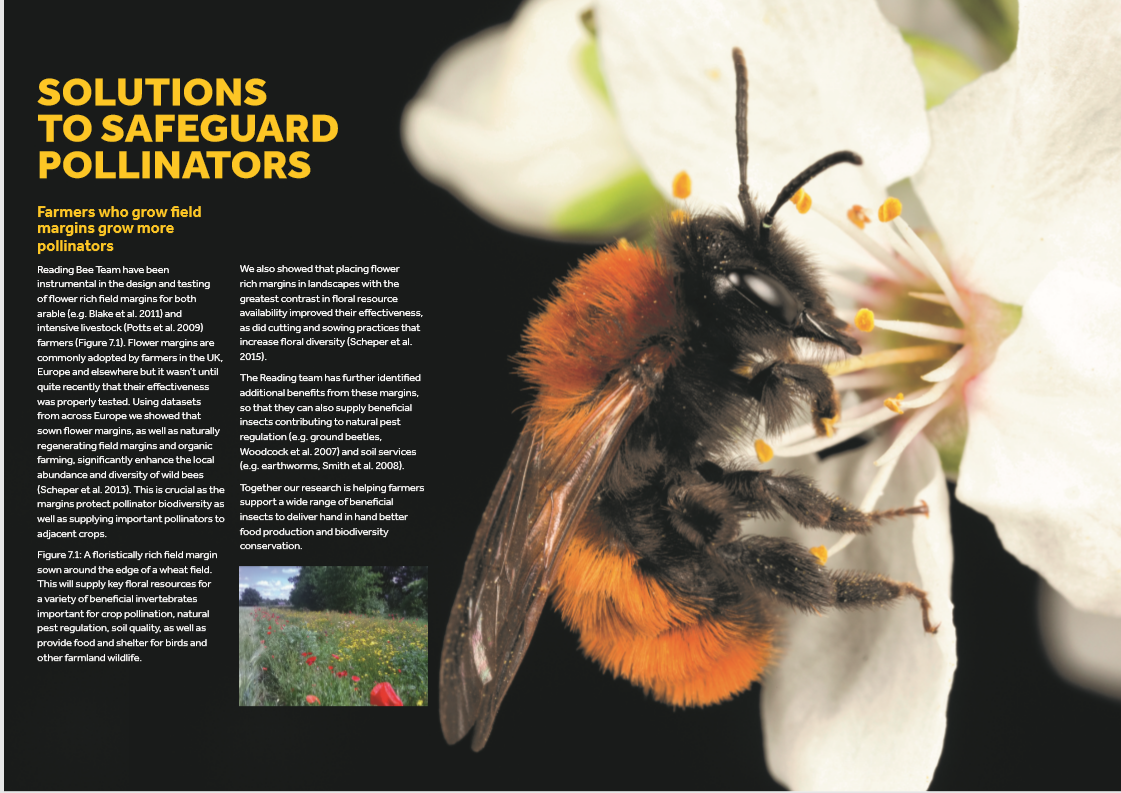 The Bees' Needs: Saving Britain's Pollinators - Connecting Research