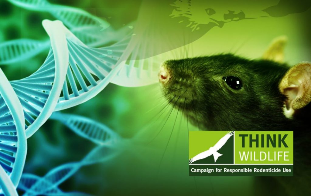 About the Anticoagulant Resistance Project Resistant rats