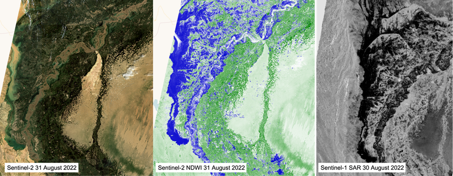 Observed flooding from satellite data