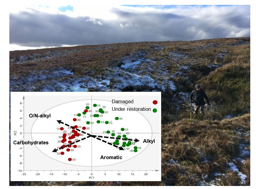 Photo of peatlands on a winter day with a graph superimposed
