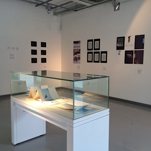 Exhibition photo, 2014. 