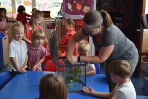 Teacher with four children and a stick insect in a tank