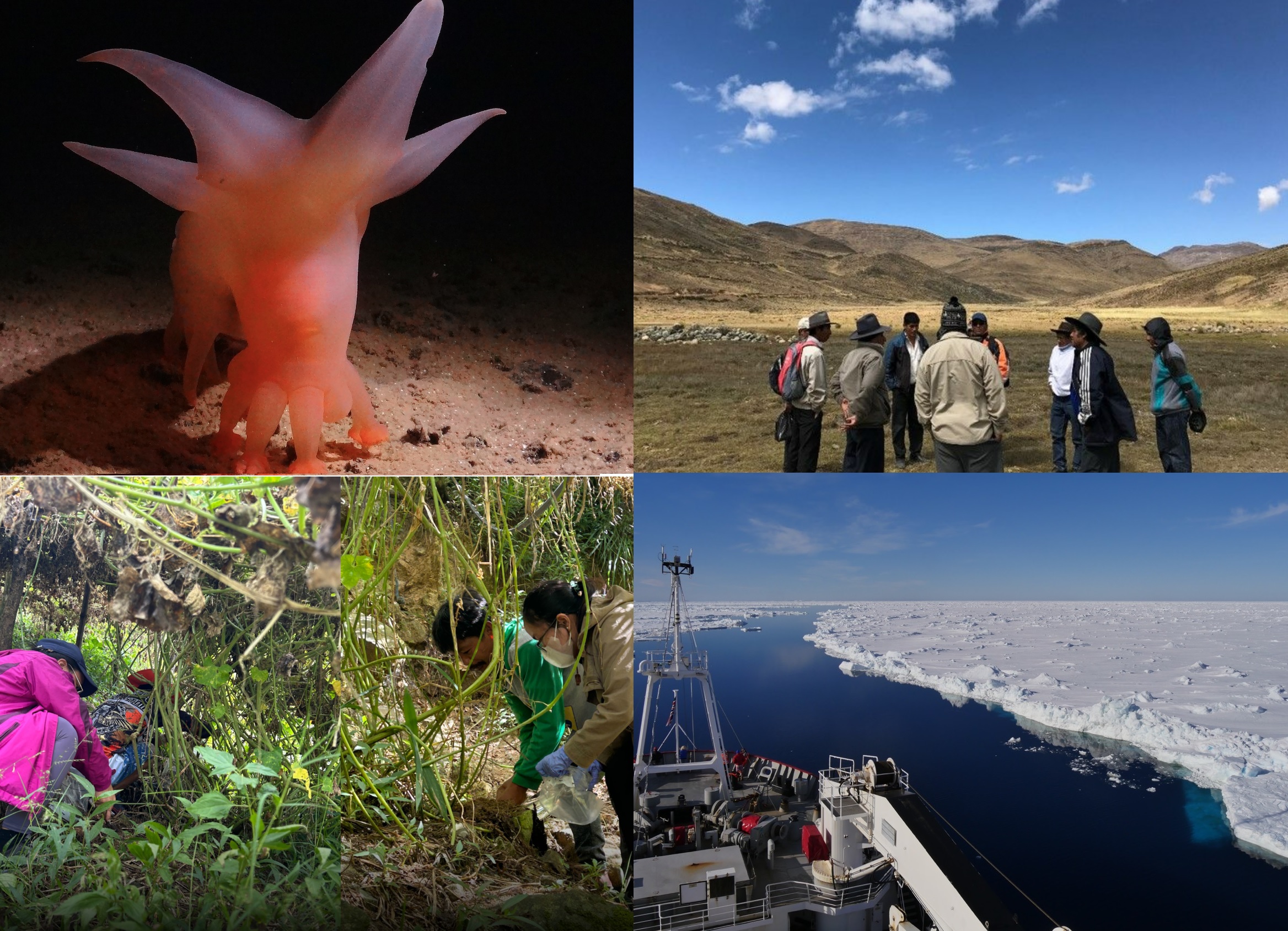 Global Environmental Challenges Seminar and Masterclass series